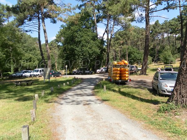 Parking de la plage Laouga à La Teste