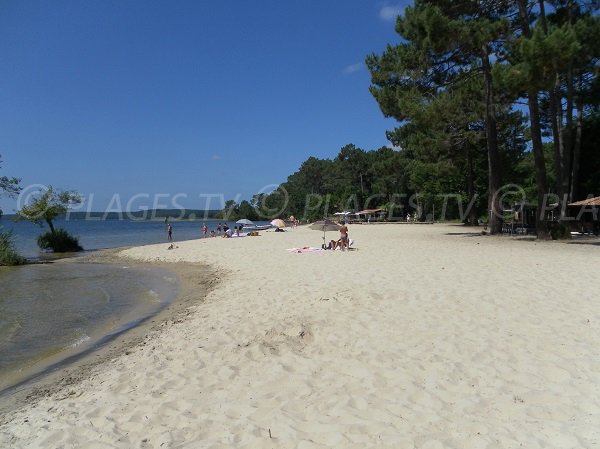 Photo de la plage Laouga au lac de Cazaux