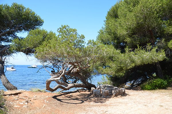 Point de repère pour la plage de Laoute