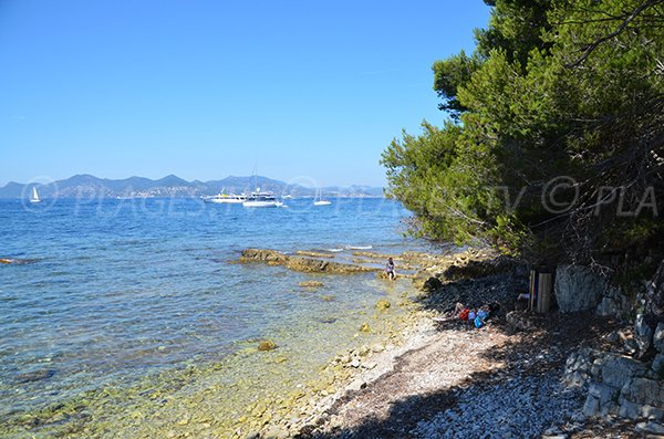 Photo de la plage de Laoute sur l'ile de Sainte Marguerite