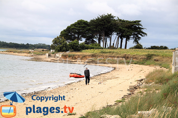 Photo de la plage de Larmor - Damgan