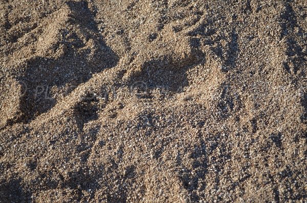 Gravillon très fin avec du sable sur la plage de Monaco