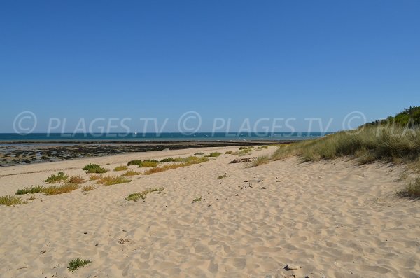 Plage de Lauzin aux Portes en Ré