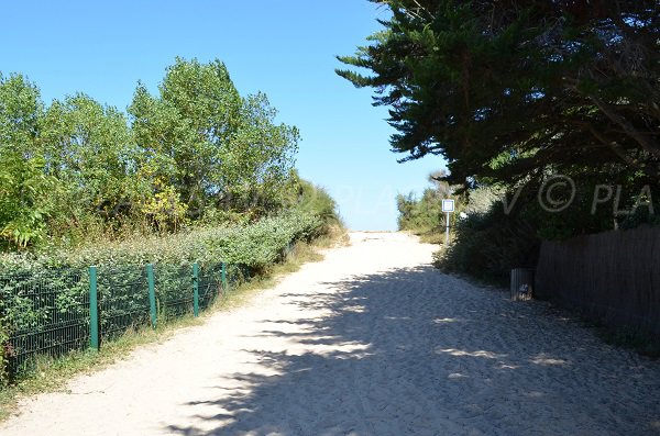 Access to Lauzin beach - Les Portes en Ré