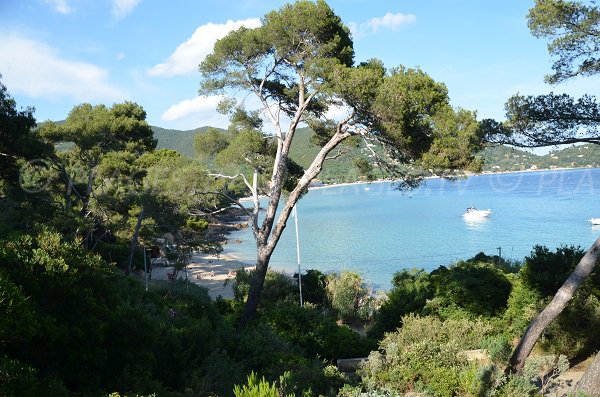 Calanque du Layet au Lavandou vue depuis le sentier