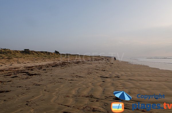 Plage naturiste des Lays à La Barre de Monts