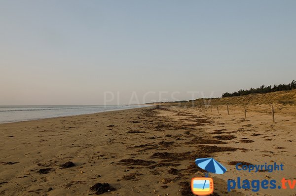 Photo de la plage des Lays à La Barre de Monts