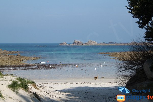 Photo de la plage du Billou à Santec