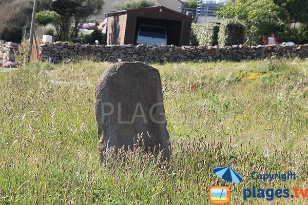 Menhir sur la plage du Gored - Plozevet