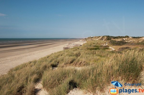 Spiaggia Selvaggio di Leffrinckoucke in Francia