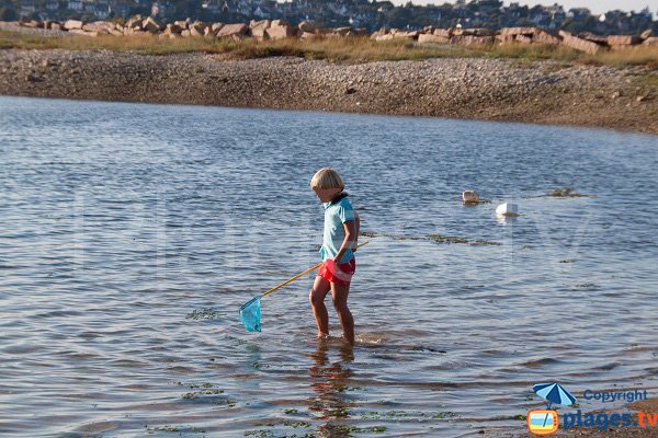 Pêche dans l'étang du Lenn