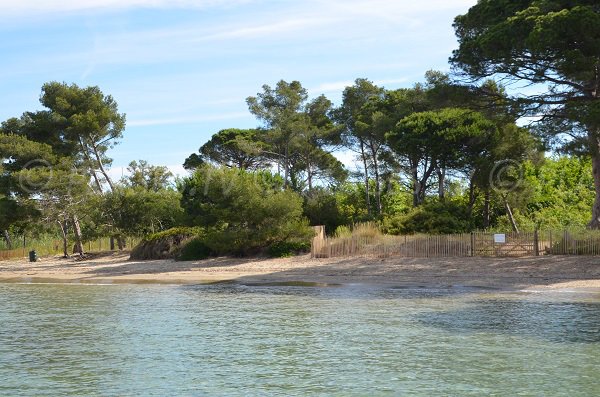 Wild beach in Bormes les Mimosas - Leoube