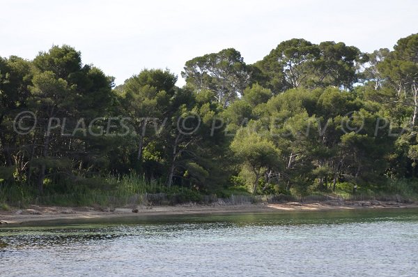 Beach nearly Cape Leoube in Bormes les Mimosas