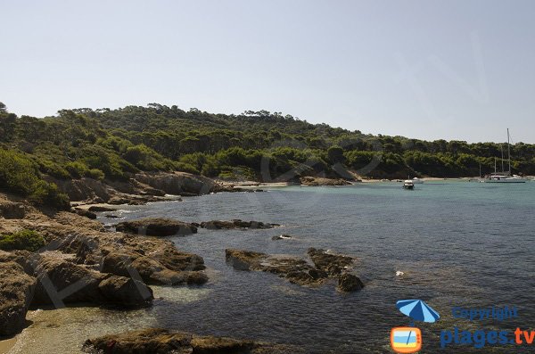 Plage du Lequin à Porquerolles