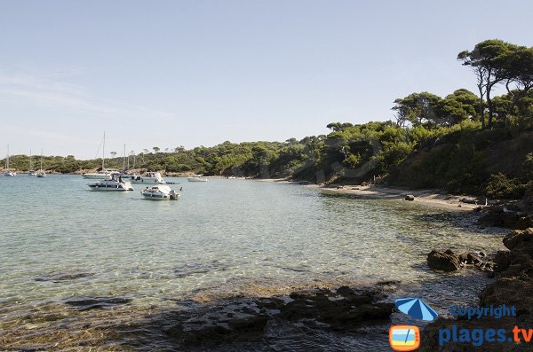 Plage du Lequin du côté de la pointe de la Tulière - Porquerolles