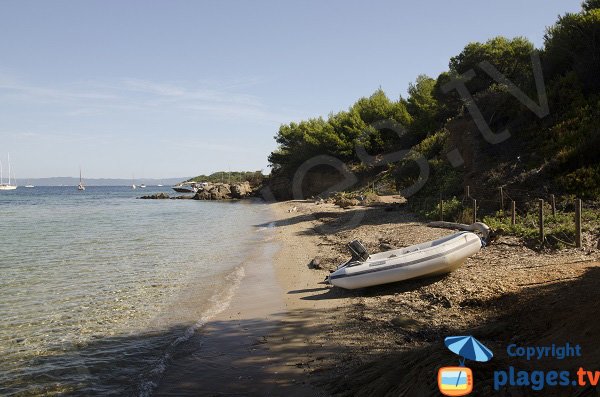 Spiaggia vicino alla spiaggia Courtade