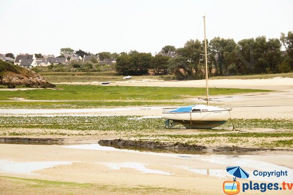 Tresseny bird reserve - Kerlouan