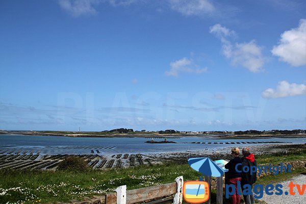 Parcs à huitres à Landéda