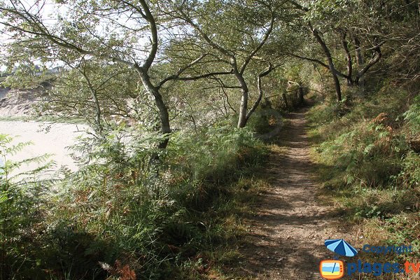 Chemin d'accès à la plage des Garennes de Guissény