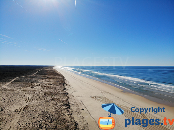 Dunes and beach of Mimizan