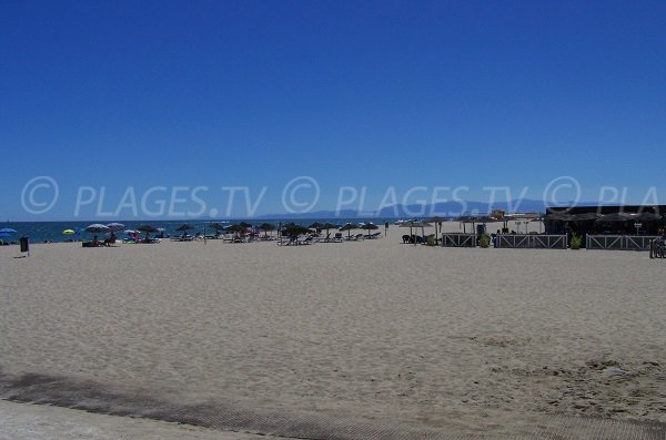 Leucate-plage et paillote