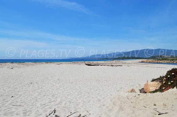 Photo de la plage à l'embouchure du Liamone en Corse