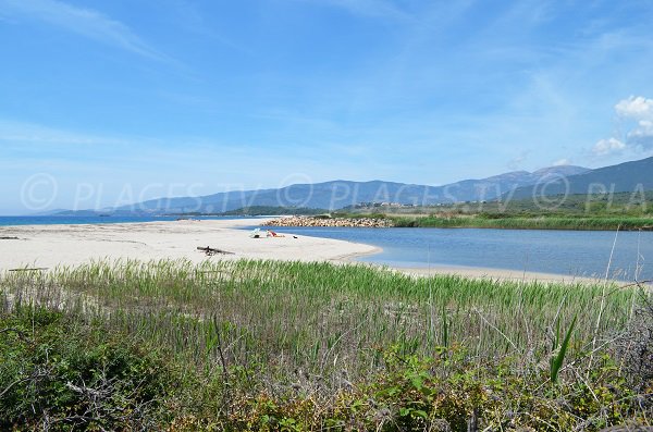 Fiume Liamone della spiaggia a Casaglione 