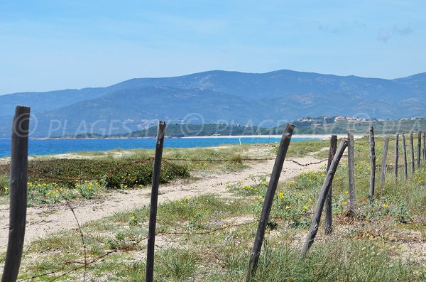 Spiaggia a Casaglione in Corsica - Liamone