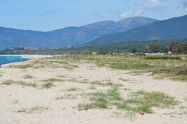 Environnement de la plage de Liamone en Corse