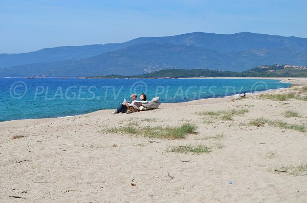 Plage sauvage en Corse entre Ajaccio et Sagone - Liamone