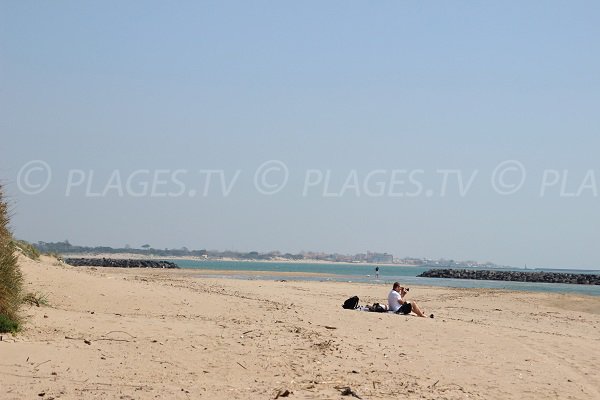 Plage du Libron avec vue sur la Tamissiere de Vias