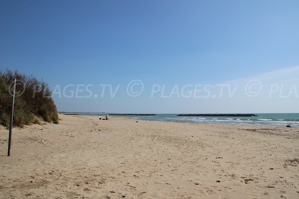 Spiaggia selvaggio a Vias-Plage