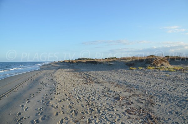 Photo de la plage du Lido de Borgo en direction du sud