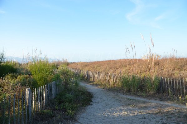 Paesaggio del sito naturale del Lido di Marana - Borgo