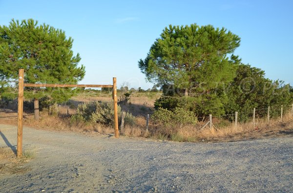 L'accesso della spiaggia Lido di Marana