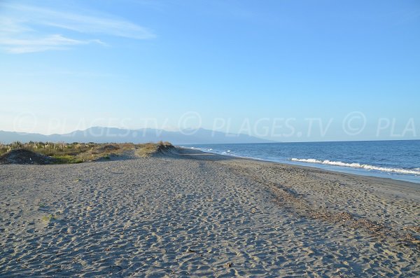 Photo de la plage du Lido de la Marana à Borgo