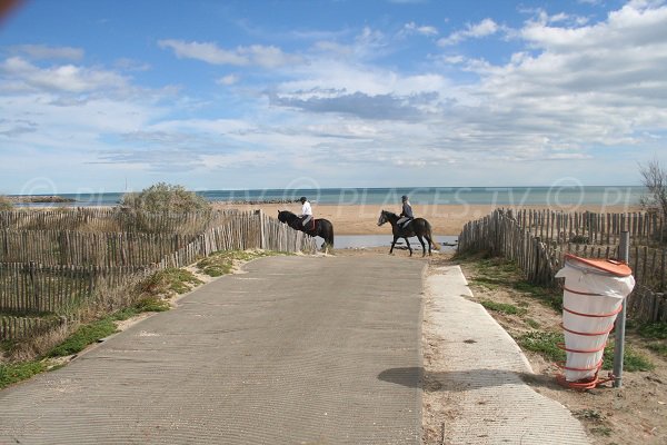 Horse riding on the Lido beach in Sète