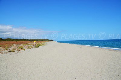 Beach in Linguizzetta in Corsica