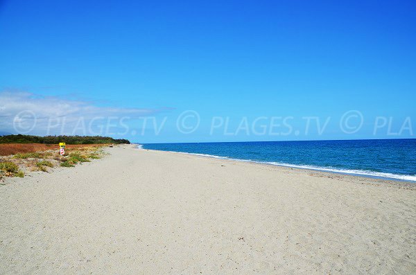 Photo of Linguizzetta beach in Corsica