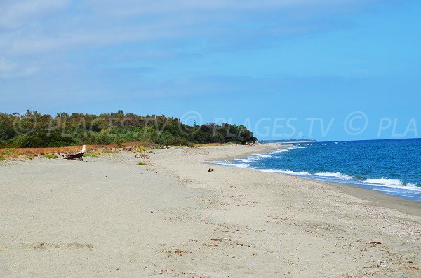 Partie nord de la plage de Linguizzetta