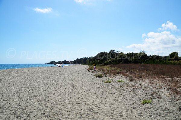 Photo of Linguizzetta beach with view on the Bravone Marine