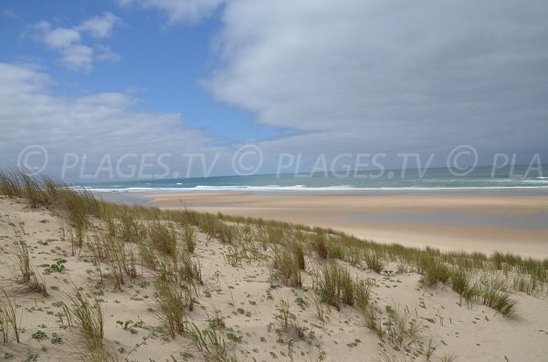 Plage sauvage de Lacanau en Gironde