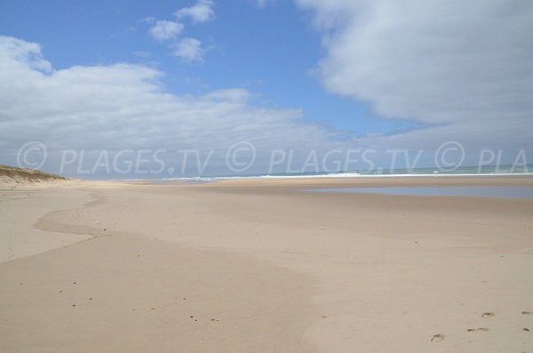 Plage de sable fin à Lacanau à côté de la maison forestière du Lion