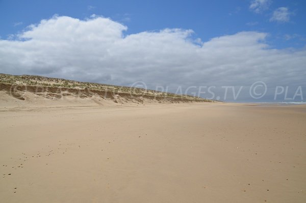 Dunes de la plage du Lion à Lacanau