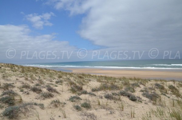 Plage du Lion à Lacanau Océan