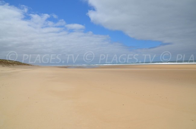 Lion beach in Lacanau-Ocean