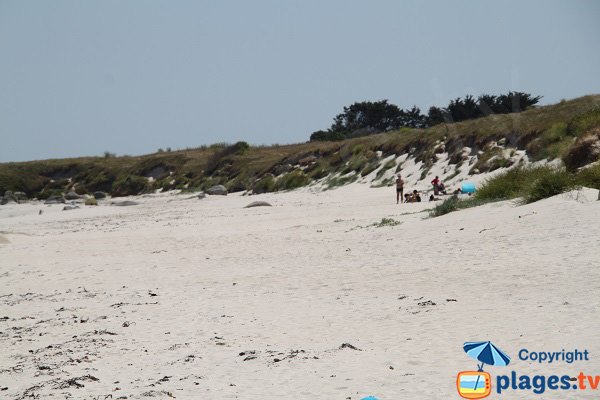 Dunes de la plage de Lividic à Plounéour-Trez - Bretagne