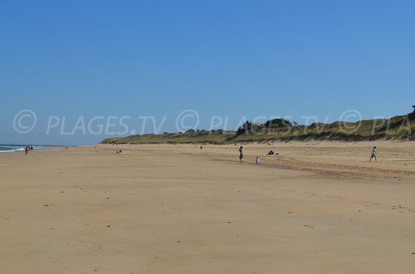 Lizay beach with dunes  - Island of Ré