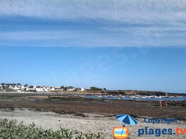 Algae on the beach of Locmaria - Ile de Groix