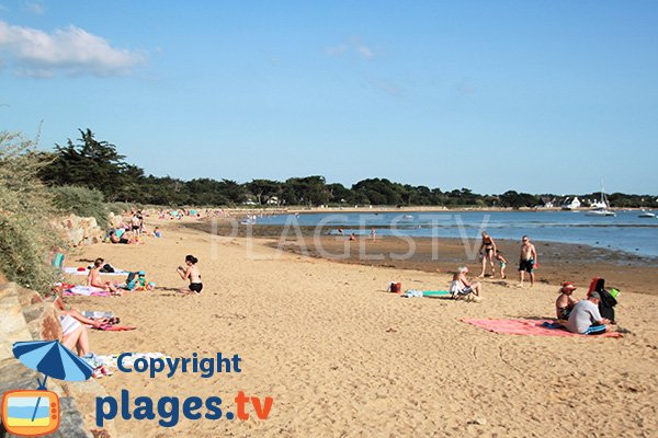 Grande plage de sable sur le Golfe du Morbihan - Larmor-Baden